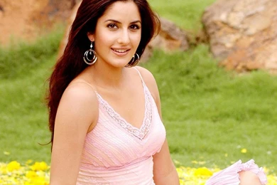 Free Download 25 Beautiful Katrina Kaif Wallpapers 2015