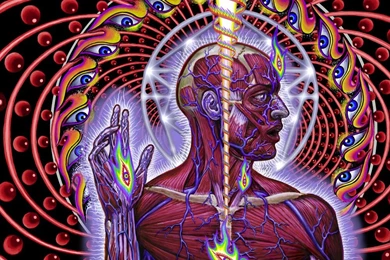 Alex Grey Tool Lateralus