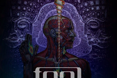 Psychedelics And Metal Music : Psychonaut