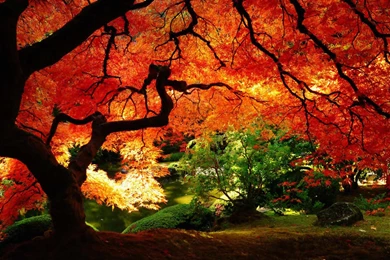 Autumn Landscapes ★ Wallpapers: Colorful Fall Landscapes Computer ...