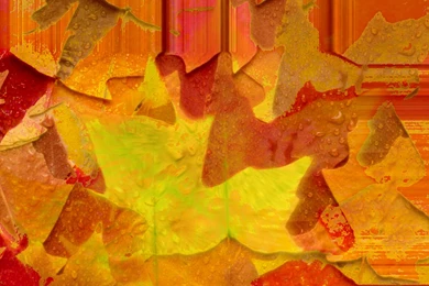 Always Halloween .:. Free Halloween Desktop Backgrounds