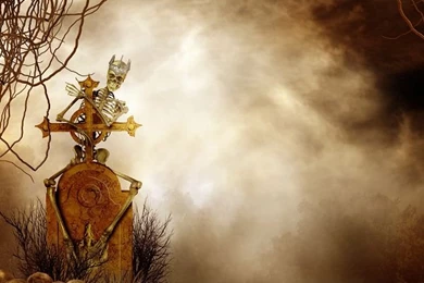 Popular Fall Backgrounds Buy Cheap Fall Backgrounds Lots From ...