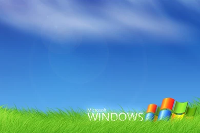 Download 45 HD Windows XP Wallpapers For Free