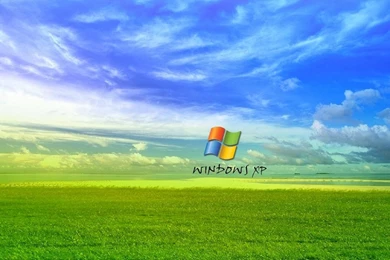 Grass Windows XP Wallpapers   Totalinfo90