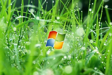 Wallpaper: Windows XP Wallpapers And Backgrounds