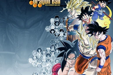 Dragon Ball Z Wallpapers Goku   Wallpapers Cave