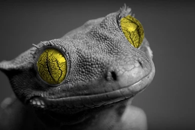 1366x768 Wallpapers Perfect F7T » WALLPAPERUN.COM