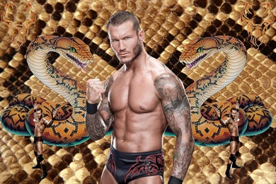 Randy orton wallpaper free download 5 31478 HD Wallpapers