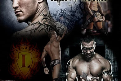 Wwerandyorton DeviantArt