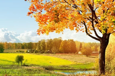 Autumn hd widescreen wallpaper wallpaper.jpg