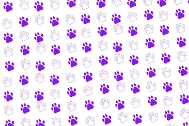 Paw Prints Wallpapers   Wallpapers Cave