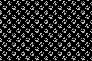 Paw Prints Backgrounds Wallpapers Free Stock Photo   Public Domain ...