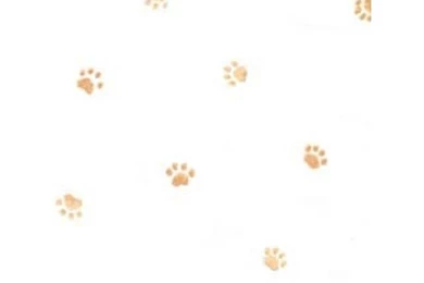Brown Paw Prints On White Animal Wallpapers   All 4 Walls Wallpapers