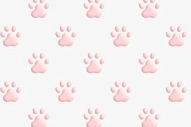 Blush Pink Mini Paw Prints Iphone Phone Wallpaper Backgrounds Lock ...