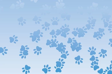 Paw Print Backgrounds Color