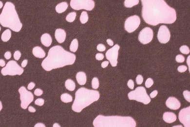 Paw Prints >> HD Wallpaper, Get It Now!