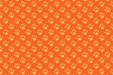 Paw Prints Backgrounds Wallpapers Free Stock Photo   Public Domain ...