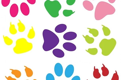 Free Illustration: Paw Print, Paw Prints, Wallpapers   Free Image ...