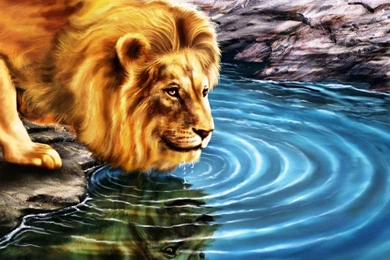 Wallpapers For Desktop 3d Hd