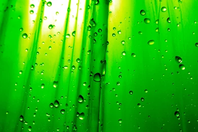 Free Cool Green Wallpapers For Android @A7S « Wallx