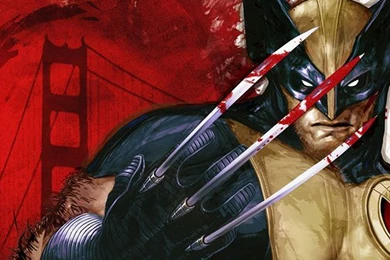 Best 5 Wolverine Animated HD Wallpapers   AN HD Wallpapers