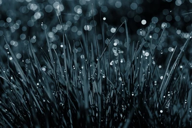 Cool High Resolution Wallpapers