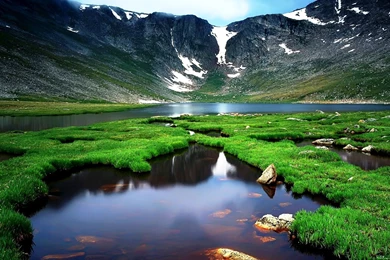 Widescreen Nature Wallpapers High Resolution Beautiful Green Grass ...