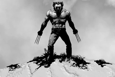 Wallpapers Wolverine Cartoon X Men Origins Force 800x600