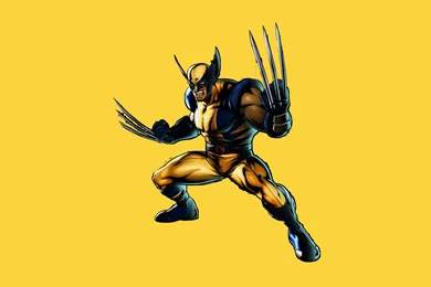 Wolverine Comic Wallpapers   Wallpapers Cave