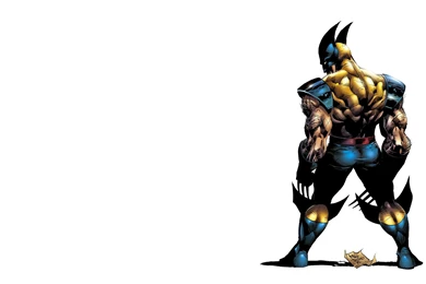 Best 5 Wolverine Animated HD Wallpapers   AN HD Wallpapers