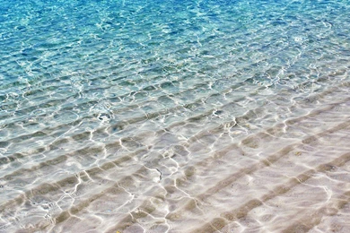 Wallpapers Seashore On The Free Pictures 1920x1200