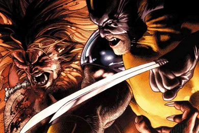 Cartoon Wallpaper: Wolverine Anime Wallpapers