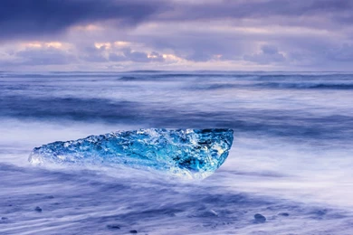 Fog On The Shore Wallpapers