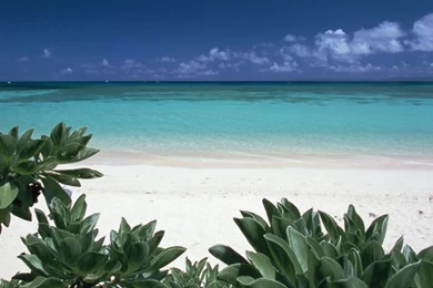 Empty Seashore Wallpapers   Placid Beach In Okinawa Island, Japan ...
