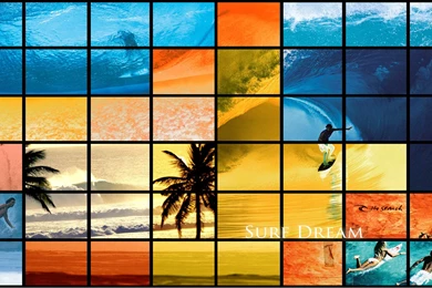 Morning Surfing Wallpapers Hd Summer Wallpapers Desktop Backgrounds ...