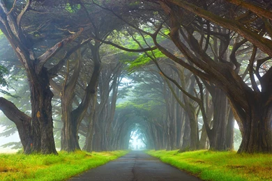 Myst_Point_Reyes_National_Seashore_California_Wallpaper.jpg?m=1399676400