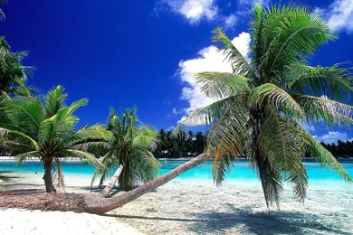 Beautiful Seashore 1920x1080 Wallpapers, 1920x1080 Wallpapers ...