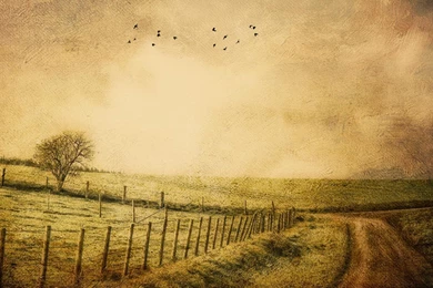 Grass Nature Old Roads Vintage Wallpapers