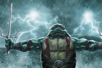 Teenage mutant ninja turtles wallpapers