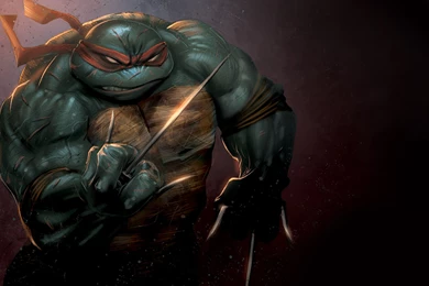 Ninja Turtles Wallpapers
