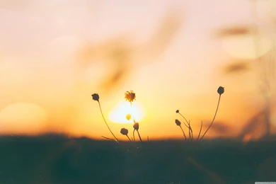 Nature Scenes Wallpapers Full HD [3840x2400]   Free Wallpapers Full ...