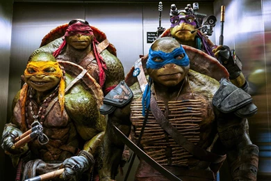 Teenage Mutant Ninja Turtles 2 2016 Movie Wallpapers 28 ...