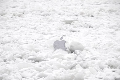 Apple 1080P, Logo, Snow, Custom, 1920x1080 HD Wallpapers And FREE ...