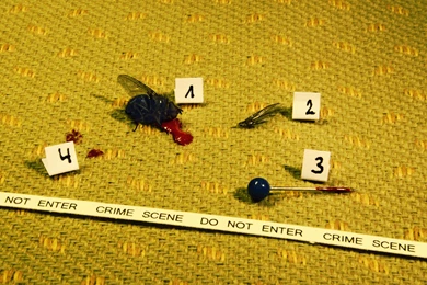 Crime Scene Wallpapers   Random Wallpapers (36440903)   Fanpop