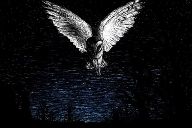 Barn Owl By Breshvic On DeviantArt