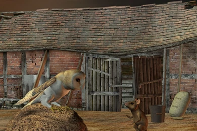 Barn Owl Desktop Wallpapers 2