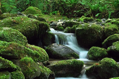 Scenery WideScreen Wallpapers