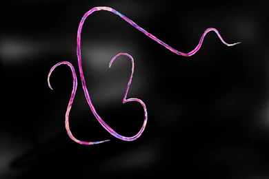 Ik Onkar Image   DesiComments.com