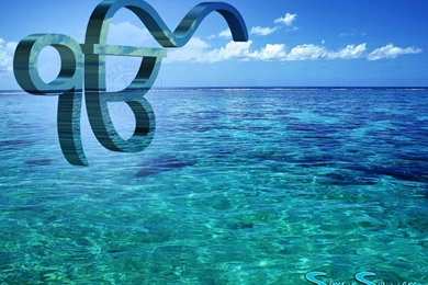 Bingo Picss: Ek Onkar