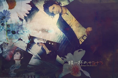 Korean Fonts And Wallpapers Special